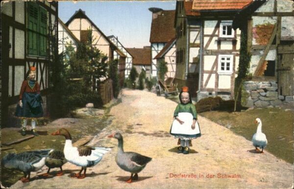 Trachten Hessen Hessen Schwalm Gänse