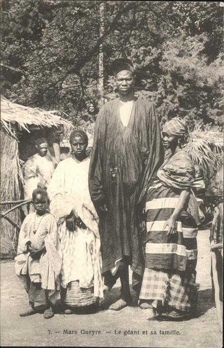 Kuriosum Mare Gueyre Afrika