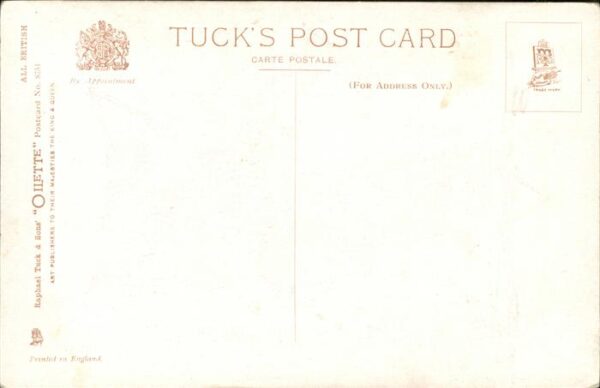 Verlag Tucks Oilette Nr. 8751 Sons of the Empire England – Bild 2