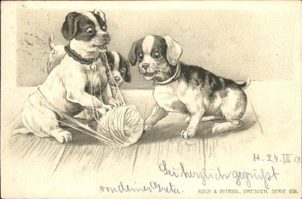 Hunde Wolle