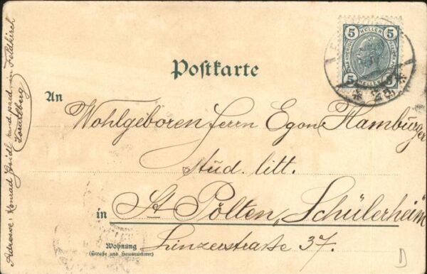 Mailick Dackel – Bild 2