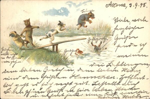 Tiere Hunde Katze vermenschlicht