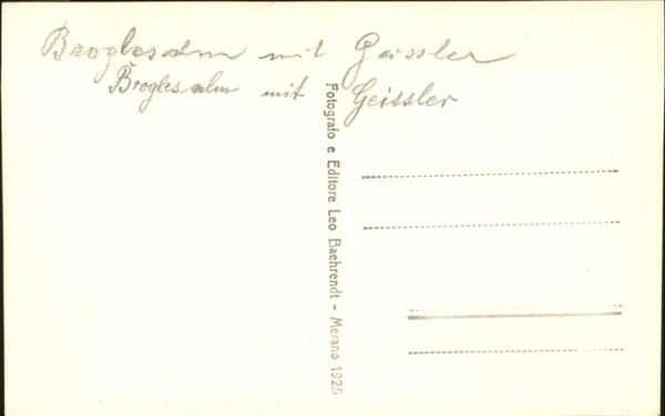 Tirol Region Geissler Bröglesalm – Bild 2
