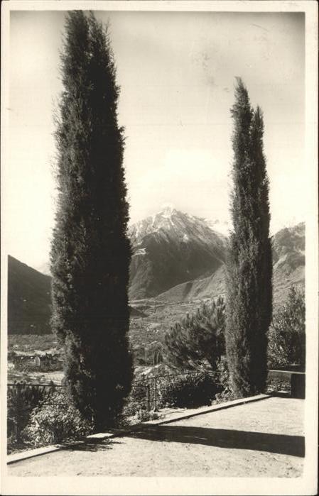 Merano Meran Vegetazione