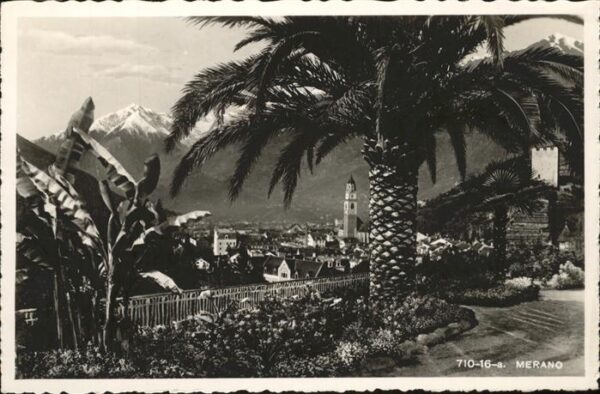 Merano Meran Palmen