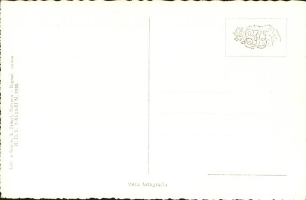 Merano Meran Palmen – Bild 2