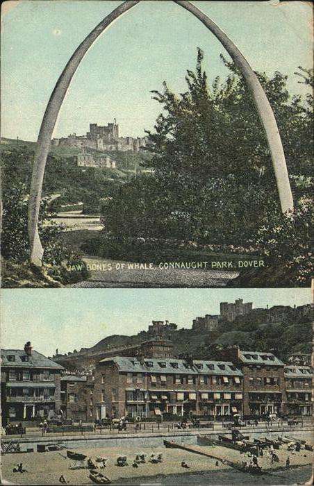 Dover Kent UK Jaw Bones of Whale Connaught Park