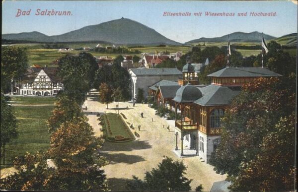 Bad Salzbrunn Szczawno-Zdroj Elisenhalle Wiesenhaus