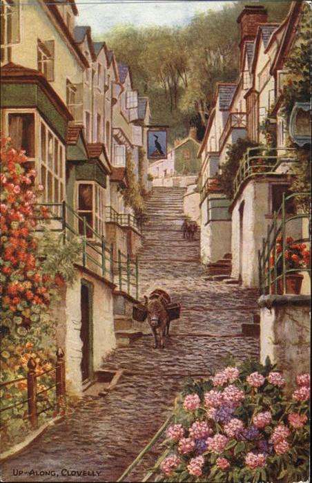 Clovelly Bay Esel Blumen