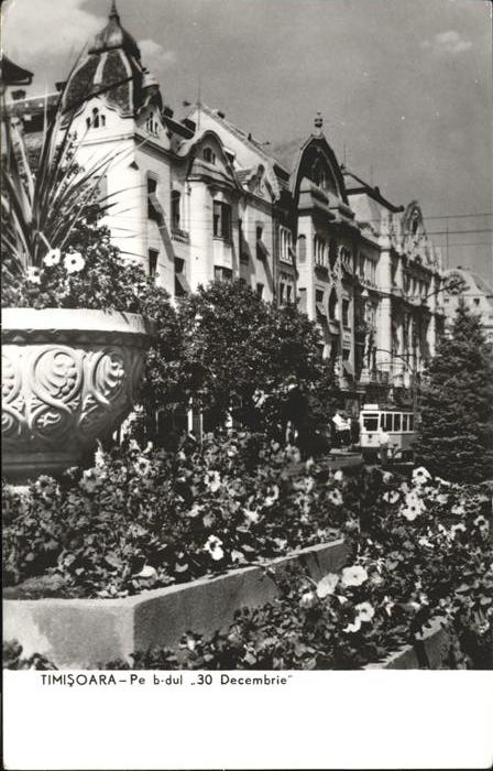 Timisoara