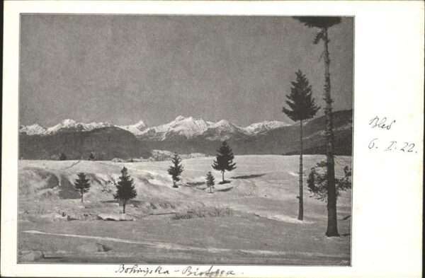 Bohinjsko jezero