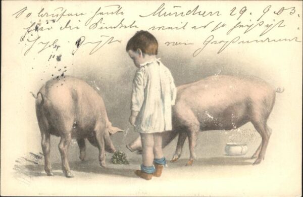 Schweine Kind