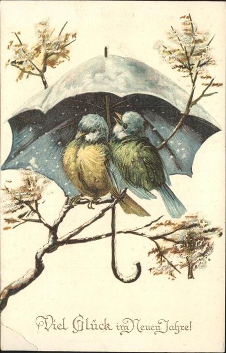 Voegel Regenschirm Neujahr
