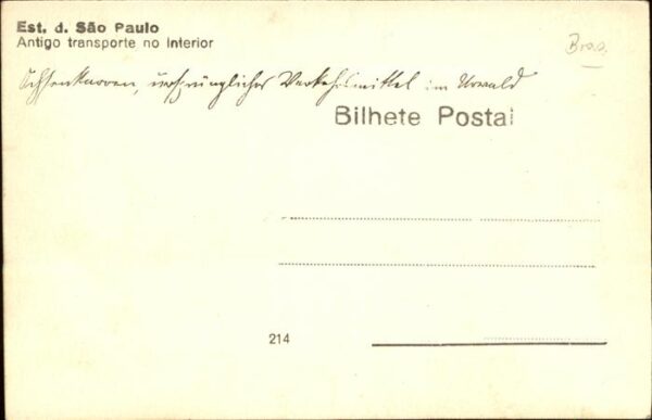 Tiere Ochsen Sao Paulo – Bild 2