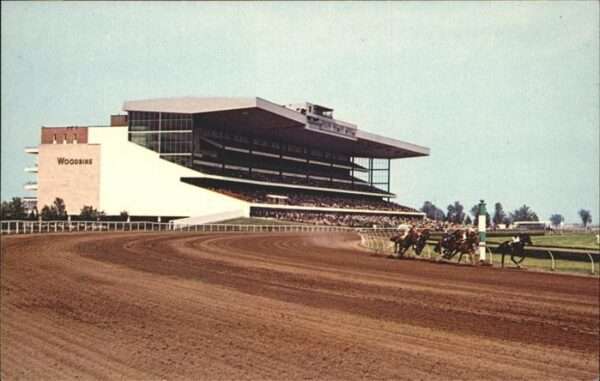 Pferdesport Pferderennen Reitsport Woodbine Toronto