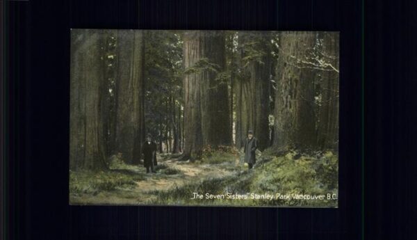 Baeume Trees Stanley Park Vancouver BC