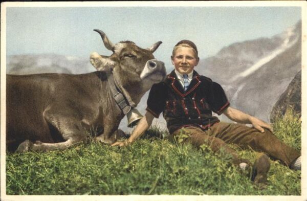 Verlag Gyger E. Adelboden Nr. 3884 Kuh Selden Gasterntal