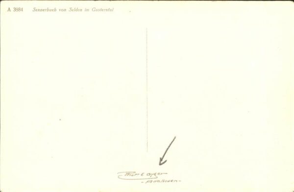 Verlag Gyger E. Adelboden Nr. 3884 Kuh Selden Gasterntal – Bild 2