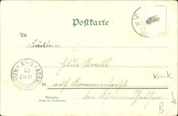 Brieftaube Carrier Pigeon voyageur Kleeblatt Marienkäfer – Bild 2