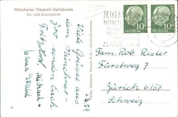 Zoo Eis und Braunbären München Hellabrunn – Bild 2