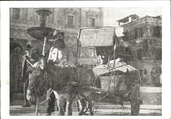 Esel Tiere Duilo Della Giustizia Giro d_Italia