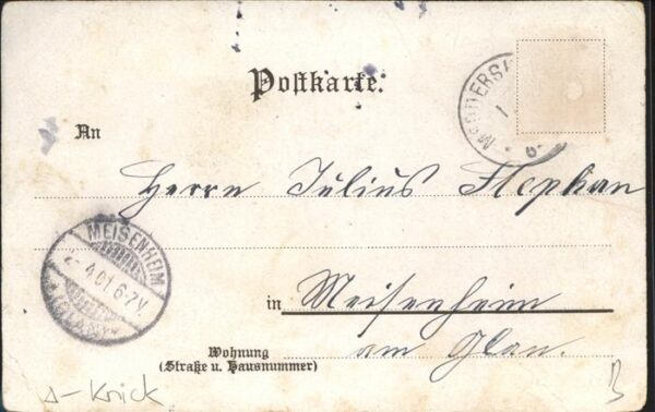 Voegel – Bild 2
