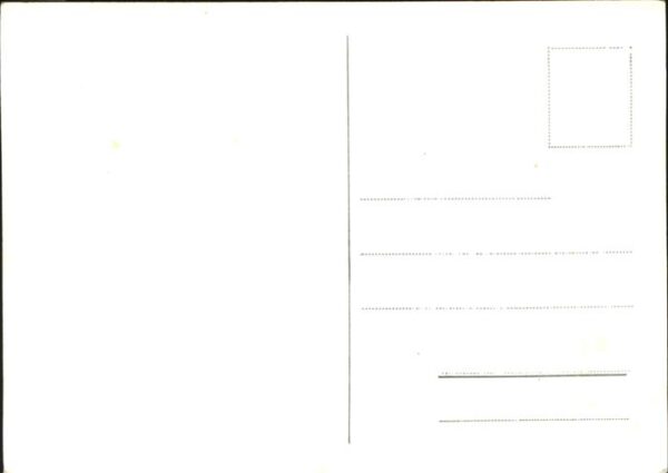 Wal Jonas – Bild 2