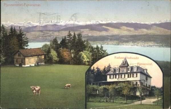 Zuerich Kurhaus Hochwacht Pfannenstiel Kühe