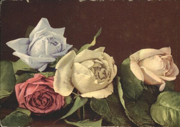 Rosen