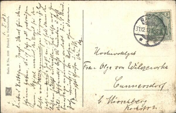 Rosen – Bild 2