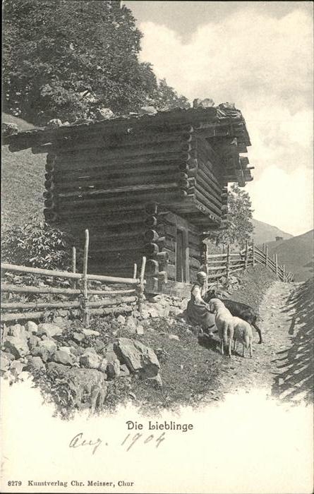 Schafe Hütte