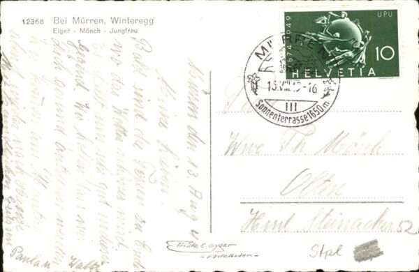 Kuehe Mürren Winteregg – Bild 2