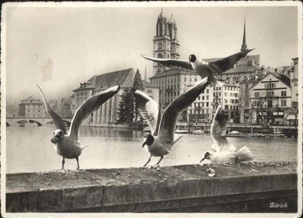 Moewen Zürich
