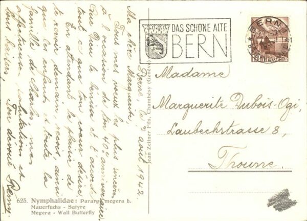 Schmetterlinge Mauerfuchs Satyre – Bild 2