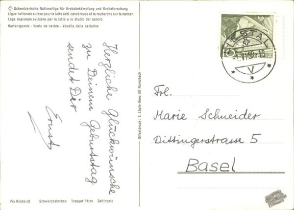 Voegel Schwarzkehlchen – Bild 2