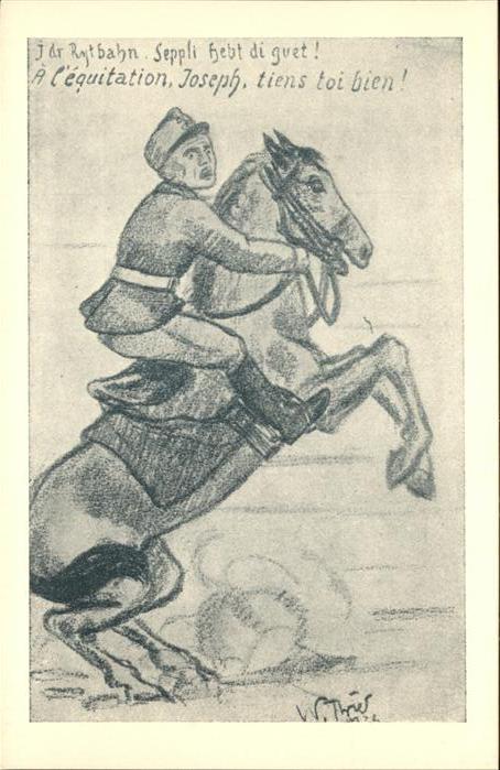 Pferde Soldat Aarau