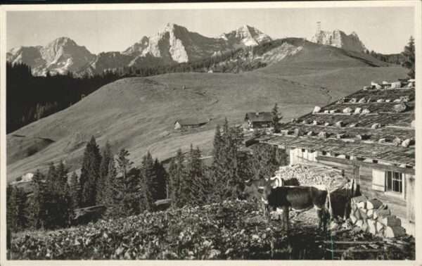 Salzburg Oesterreich Loferer Alpe Haus Schönblick