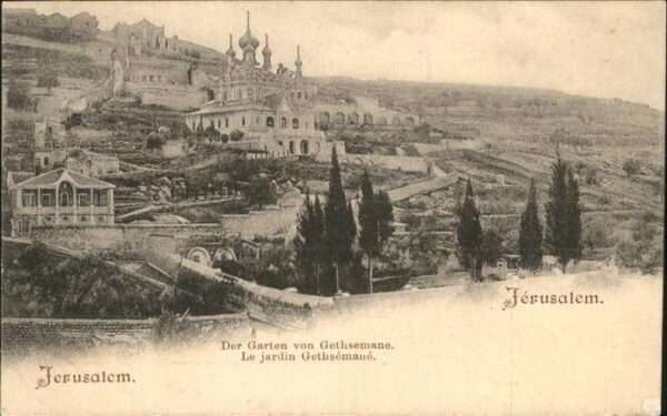 Jerusalem Yerushalayim Garten von Gethsemane