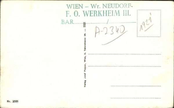 Moedling Gesamtansicht – Bild 2