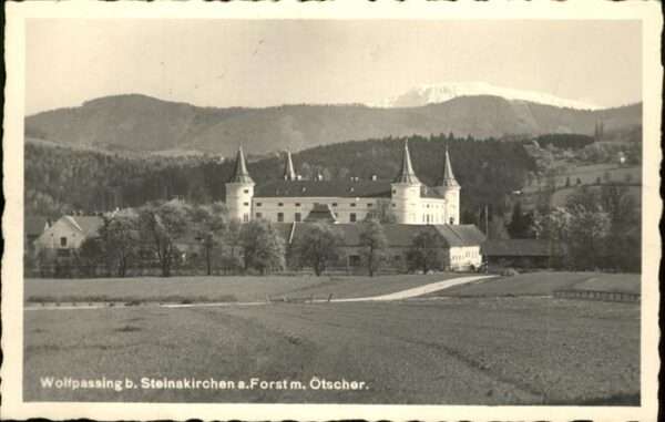 Wolfpassing Steinakirchen Forst Ötscher