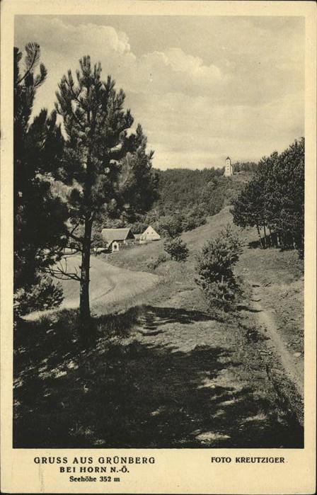 Gruenberg Schlesien Zielona Gora Horn