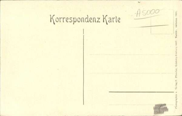 Gaisbergspitze Plateau Kühe Schäfer Familie – Bild 2