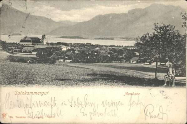 Mondsee Salzkammergut Teilansicht Mondsee Kloster Stiftskirch