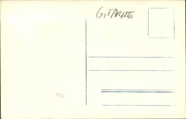 Gitarre Alm Trachten – Bild 2