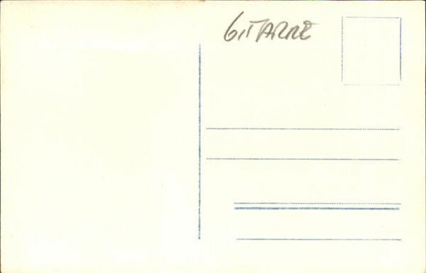 Gitarre Alm Trachten – Bild 2