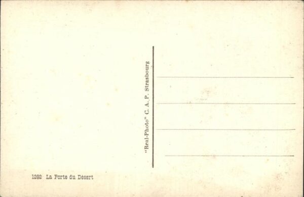 Esel Tiere Porte du Desert – Bild 2