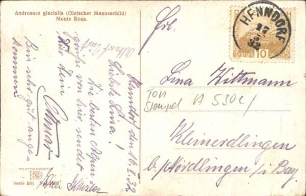Gletscher Mannsschild Monte Rosa Henndorf – Bild 2