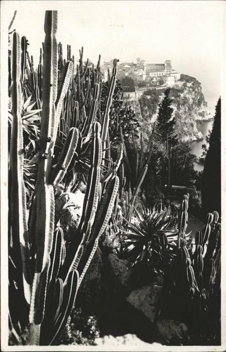 Kakteen Monaco Grasse Jardins Exotiques