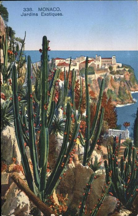 Kakteen Monaco Jardins Exotiques