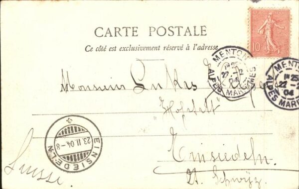 Kakteen Monte Carlo Monaco – Bild 2